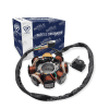 Estator 8 Bobinas Motoneta Cs125 D125 Ds150 Ws150