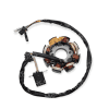 Estator 8 Bobinas Motoneta Cs125 D125 Ds150 Ws150 - Imagen 3