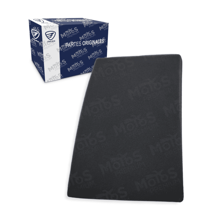 Elemento Filtrante / Filtro De Aire Vortx300