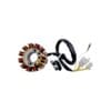 Estator 11 Bobinas Ds150g Gs150 Gts175 Trn150 Trn175 X150gts - Imagen 3