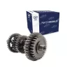 Conjunto Secundario De Transmisión Dt150 Sport I Y Ii Fiera