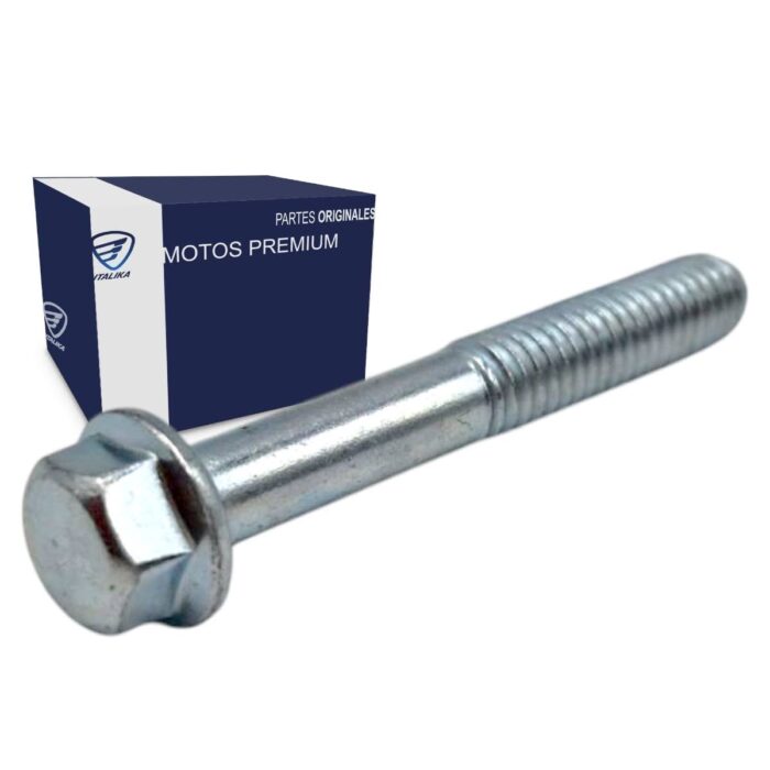 Tornillo Carter 6m X 40 DM 150 Italika Motor Cg Original