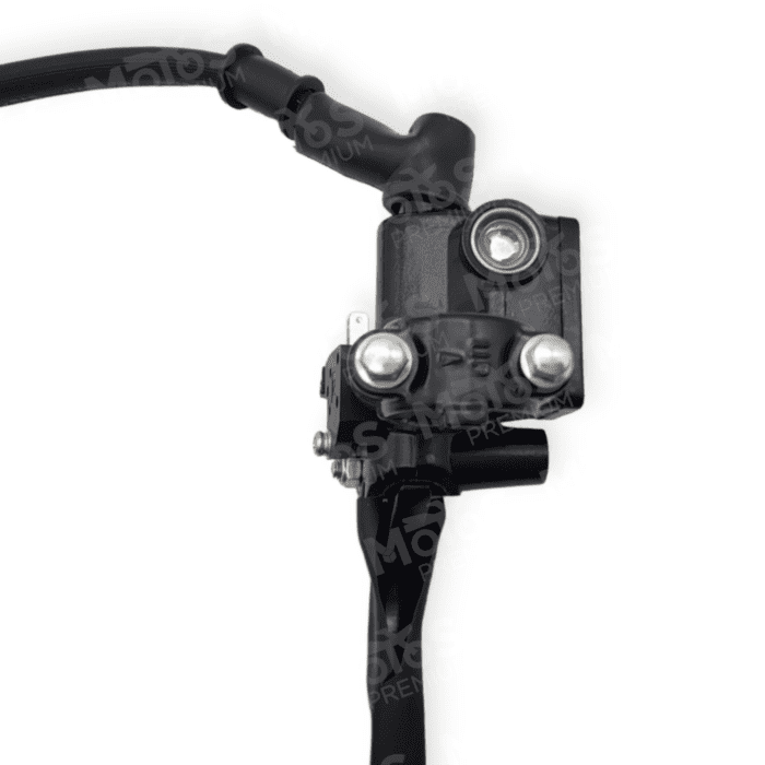 Conjunto De Freno De Disco Delantero Vento Workman 250 - Imagen 2